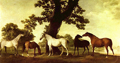 Five Brood Mares George Stubbs